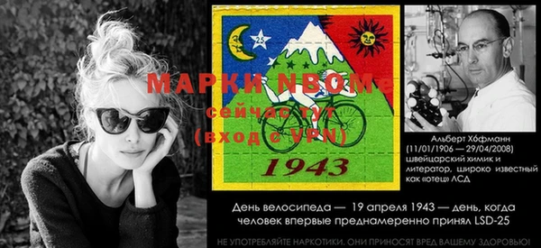 Альфа ПВП Вяземский
