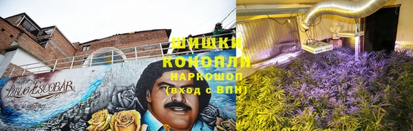 Альфа ПВП Вяземский