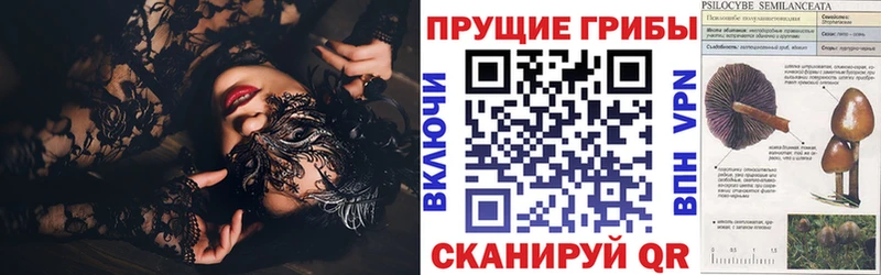 Купить  Новоалександровск  Псилоцибиновые грибы Cubensis 